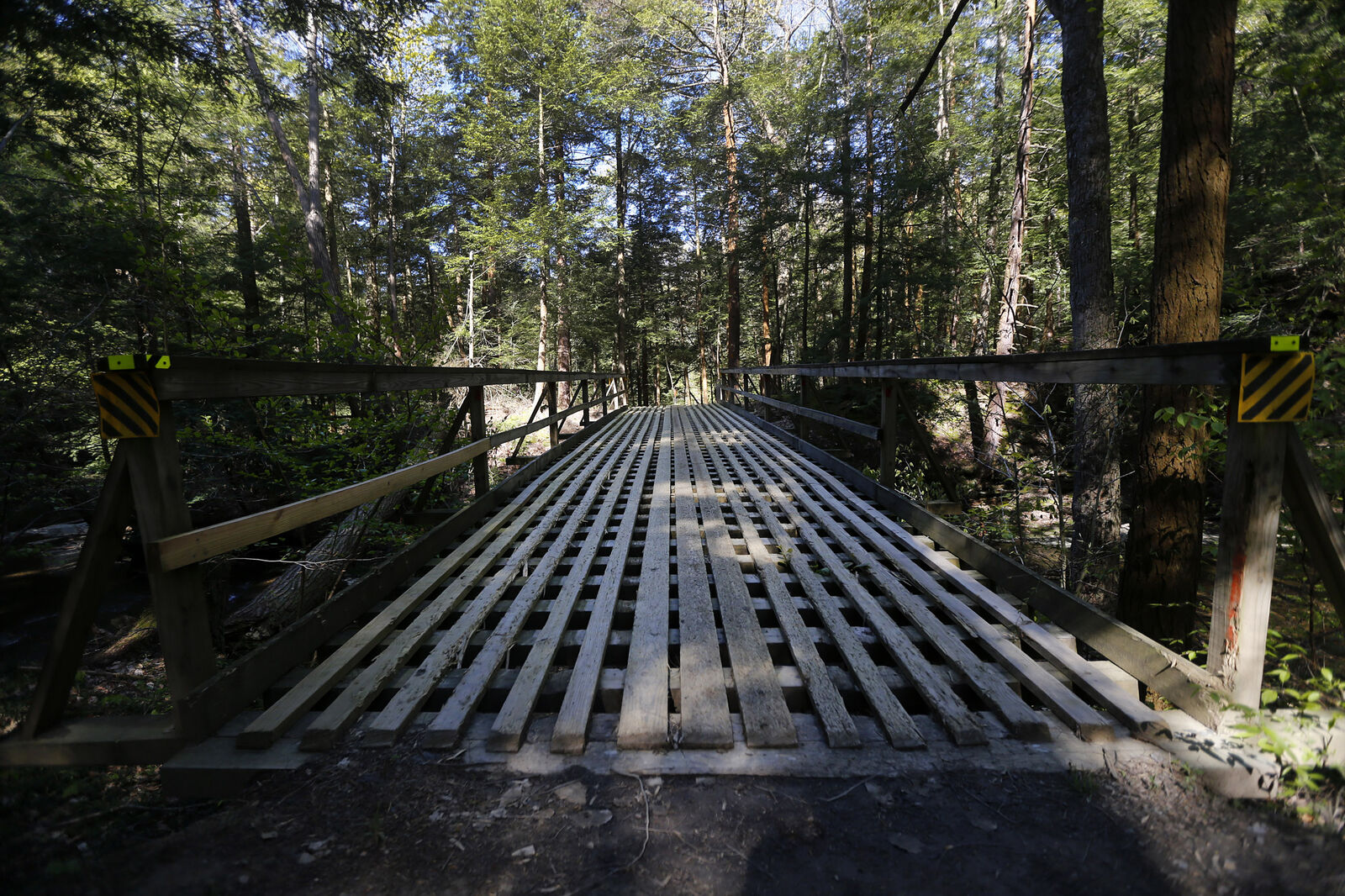 Bridge